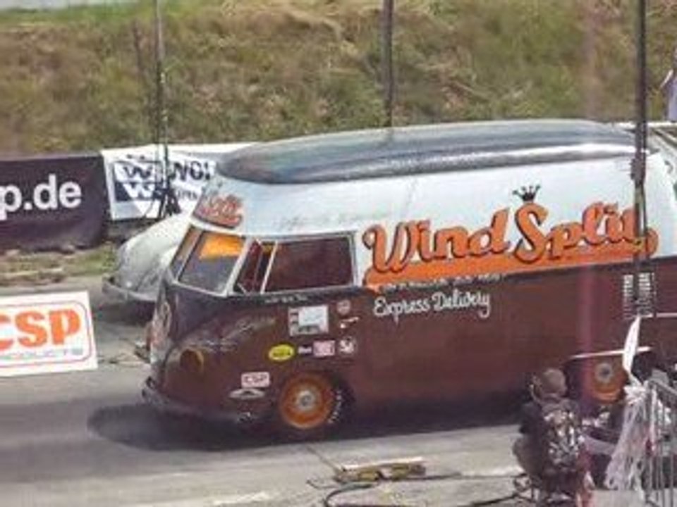 Au bug in 2009