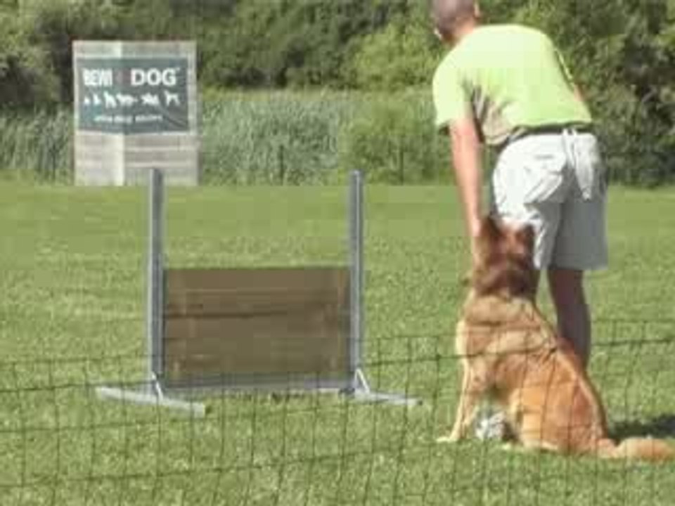Brevet Ramsès le saut