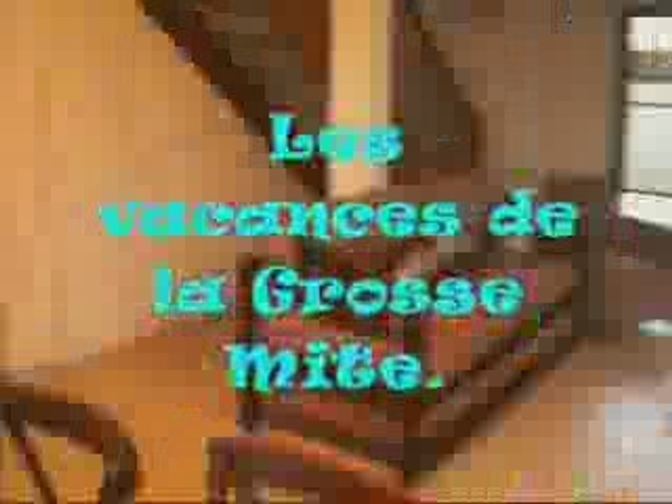 Vacances 2009 - Trailer