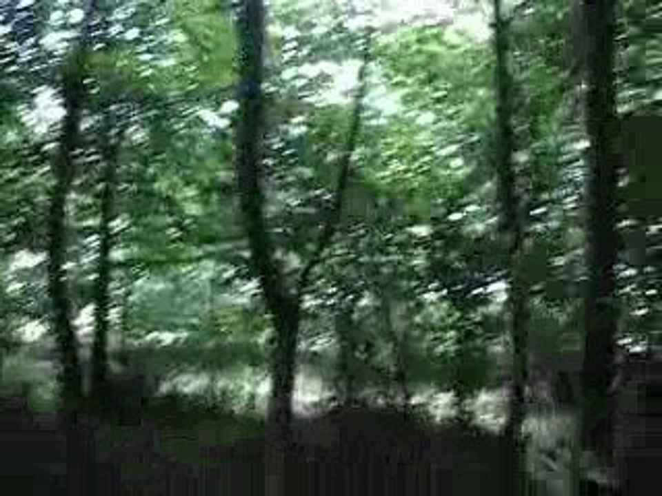 GIMA50 VS ATP A LA MEAUFFE