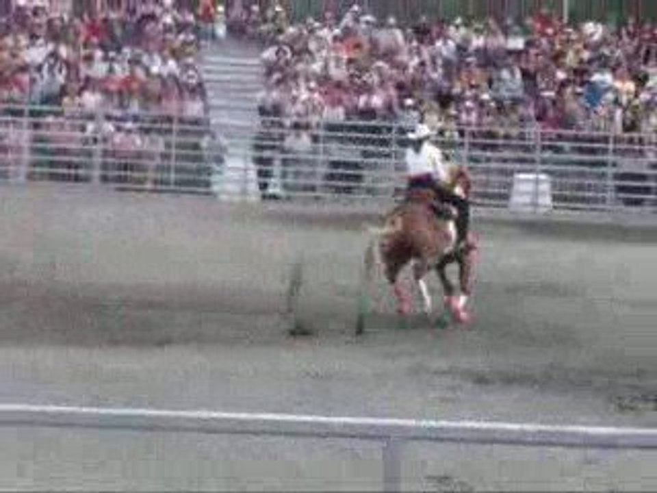 compétitions de Barrel et de Roping