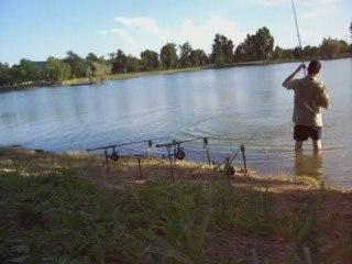 Luc in cournon, carp fishing tarnois !