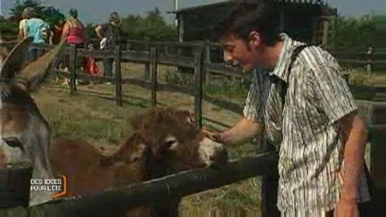 La Maison de l'âne (Beauvoir-Sur-Mer)