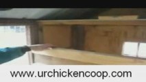 How To Build Your Own Chicken Coop