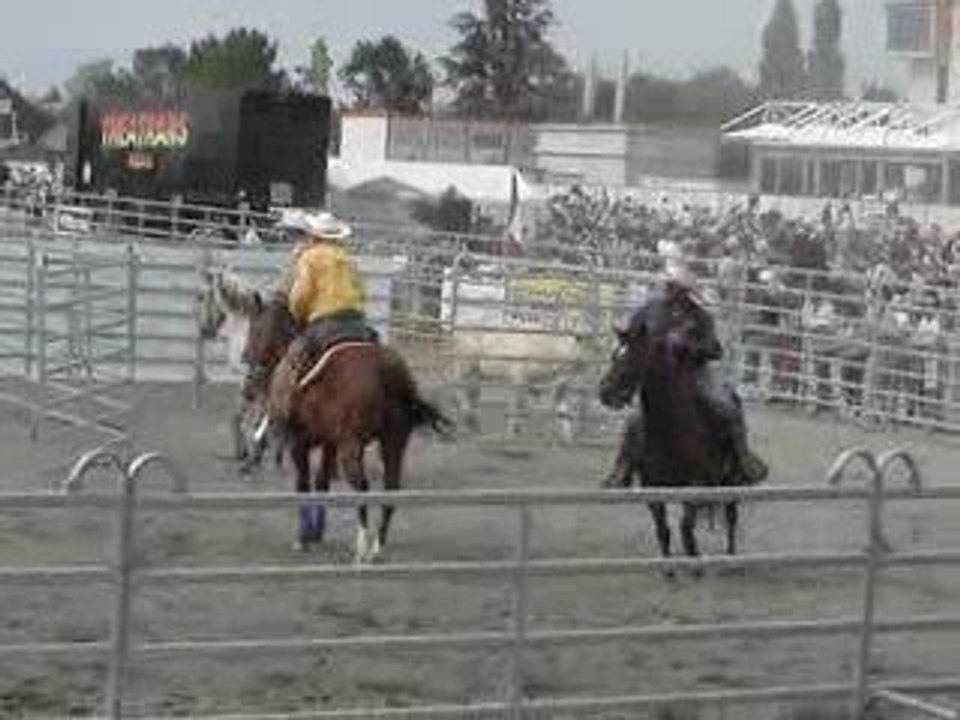 tri bétail Festival Tours Country 2009 spectacle équestre