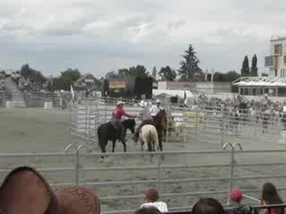 tri bétail Festival Tours Country 2009 spectacle équestre