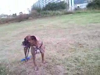 Con Pancho de paseo