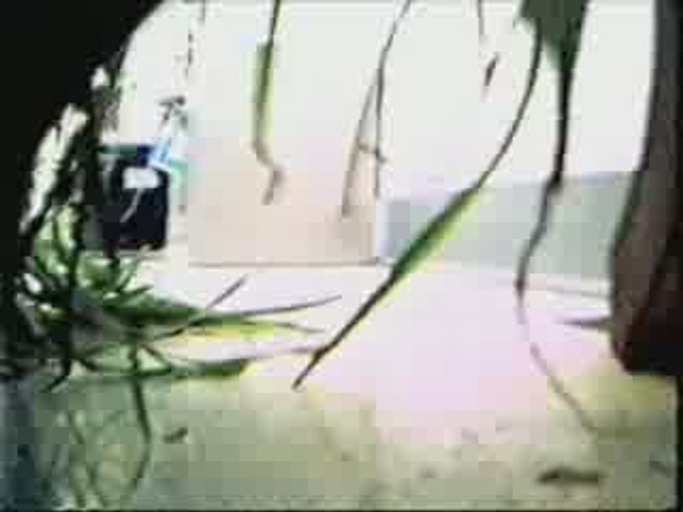 Remote Controlled Vehicle With Camera Attached