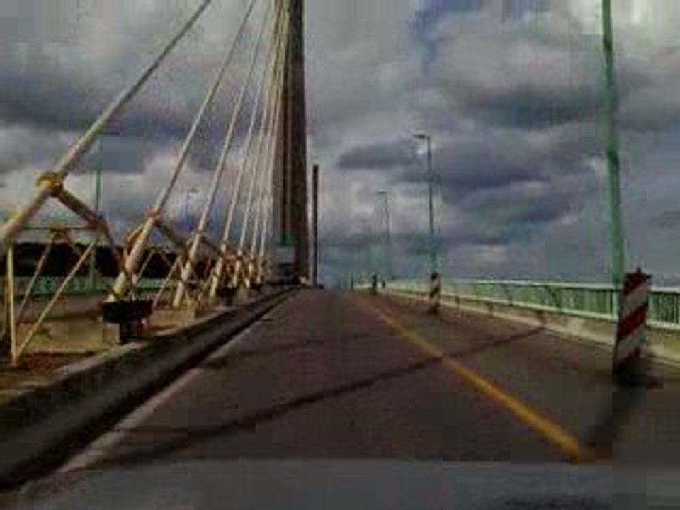 une panda sur un pont