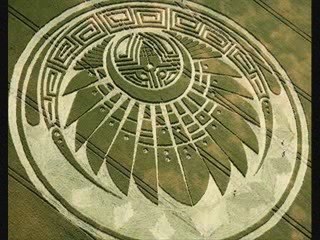 crop circle 5 juillet 2009