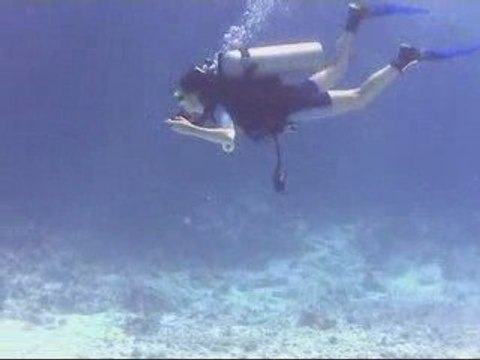 Мир безмолвия - это мир,где мы гости! Мы должны помнить это!