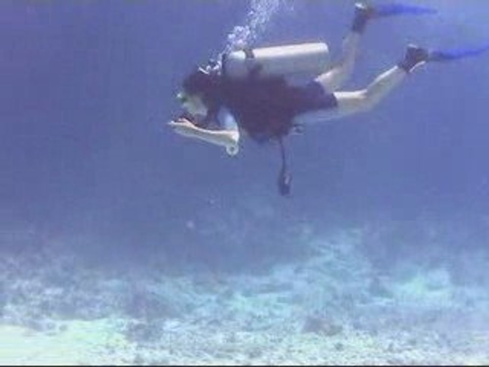 Мир безмолвия - это мир,где мы гости! Мы должны помнить это!