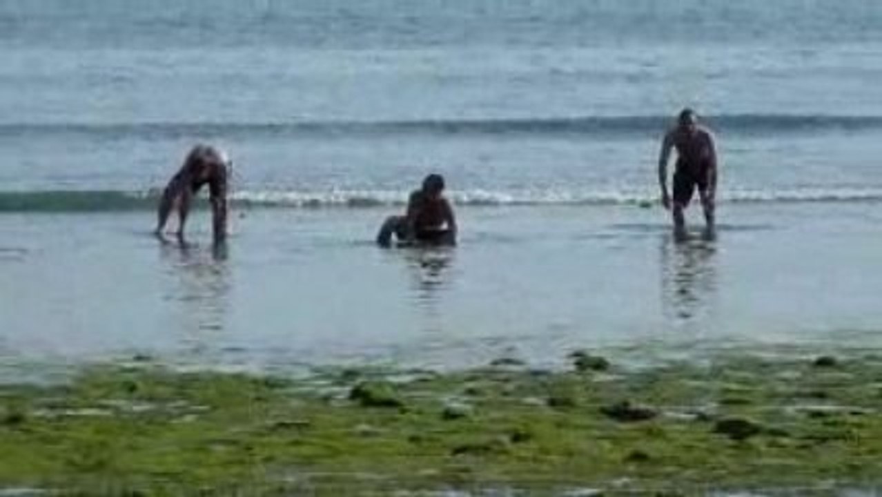 Retour de mer.