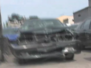 L'allié du crapaud (Les Aventures de Bufo 1)