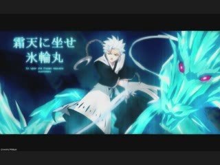 hitsugaya vs ichigo