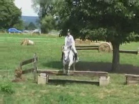 05 juillet 2009-Fête du cheval