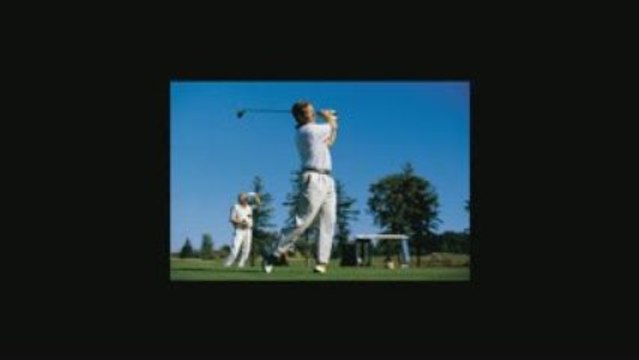 apuestas deportivas aprenda como ganar dinero