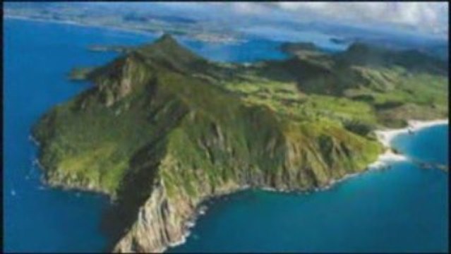 PrezzyPack: Painting Lessons, Artists Success Guide, Gallery