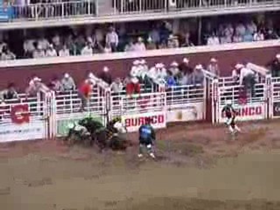 Calgary Stampede : rodeo sur taureau sans selle