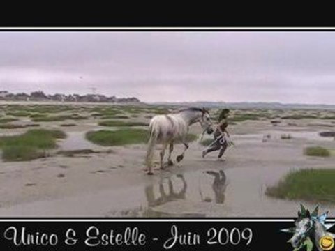 Unico à la plage pour la 1ère fois - Juin 2009