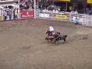 Calgary Stampede : course et saut sur vachette