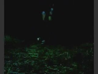 cwalk - tanago - whats really good