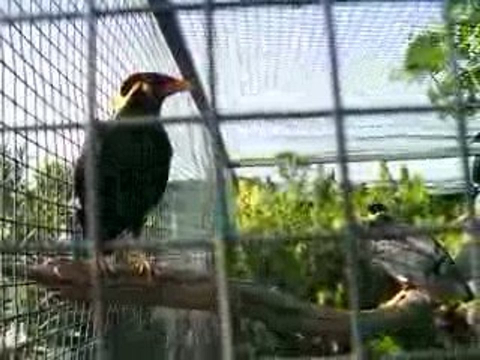 Αττικό Ζωολογικό Πάρκο