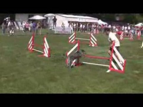 GPF Agility 2009 Blueberry M1