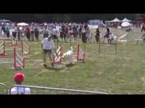 GPF Agility 2009 Thao M1