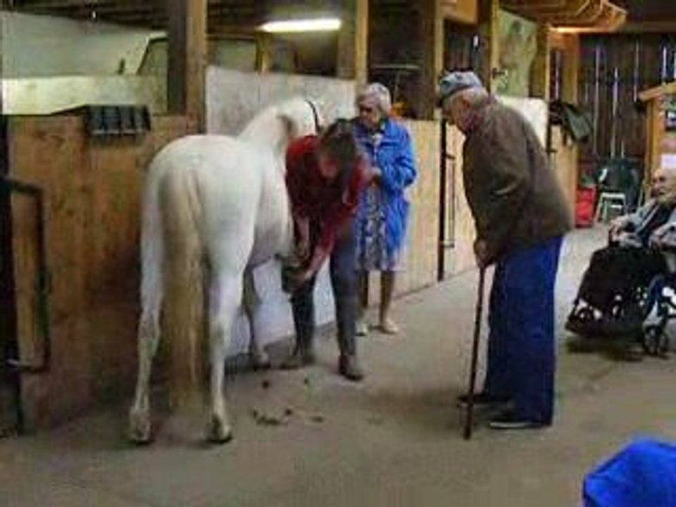 Le cheval devance l'Araire