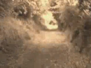 Circuit Breizh Tandem 2009