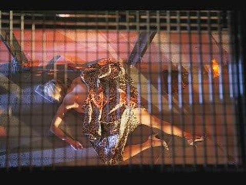 Chroniques du bord de scène, saison 2-Nicolas Bigards - MC93