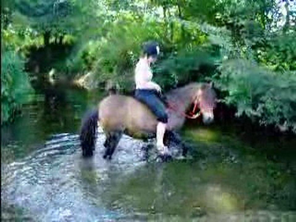 Zelda dans l'eau