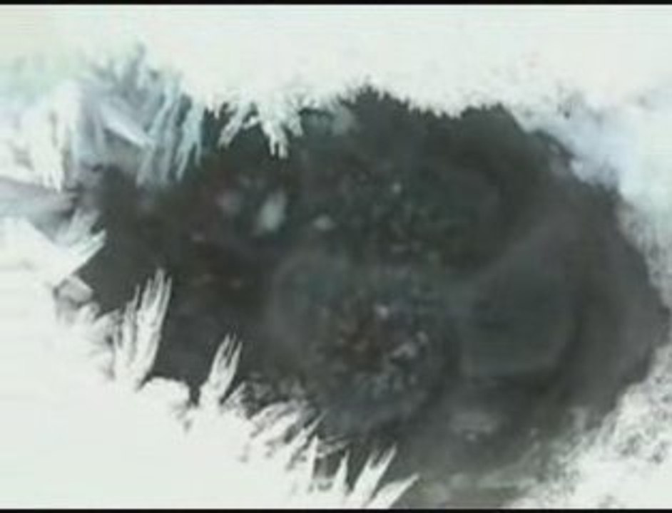 La marche, un acte de resistance !