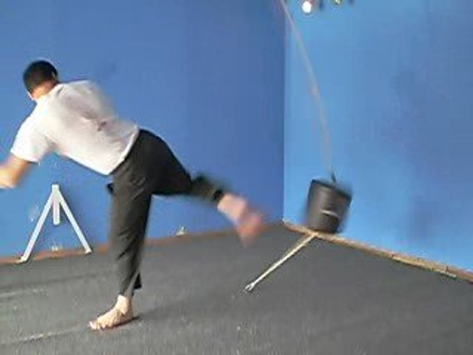 DRAGON BAG TRAINING SYSTEM