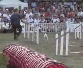 cibeins 09 nicolas edf