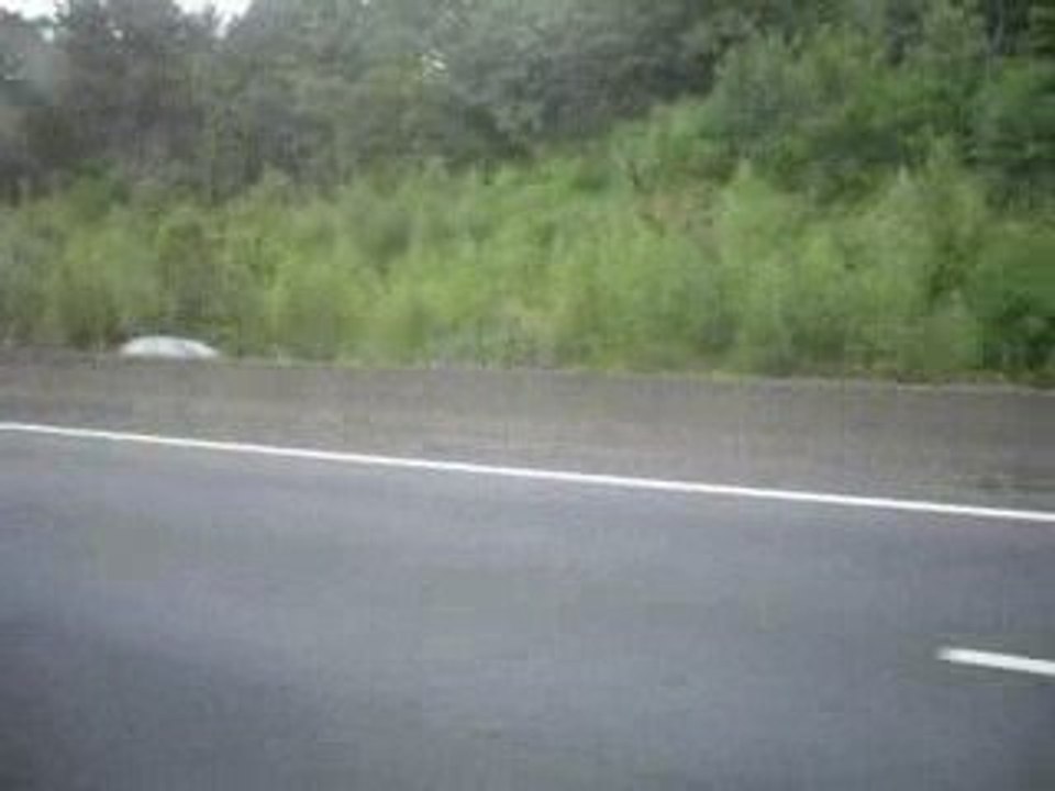 european bug in 3 (2009 )