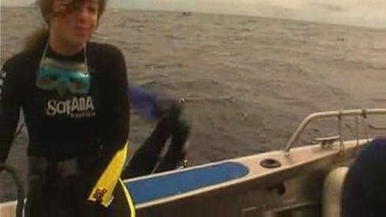 Activités d'Eté : La plongée sous-marine