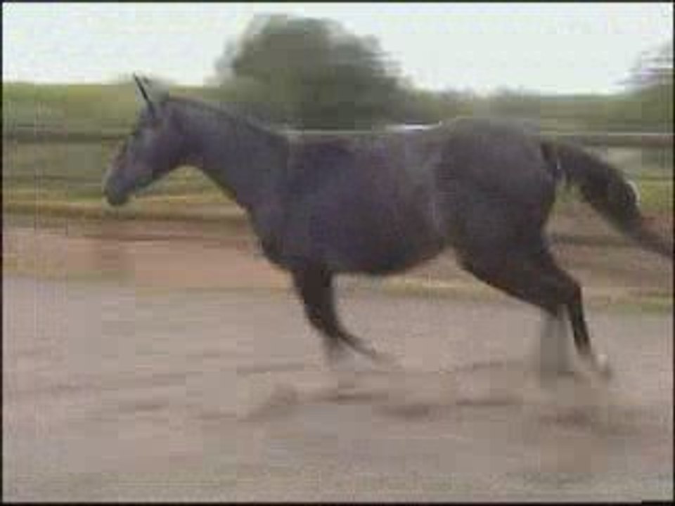 trinidad cso