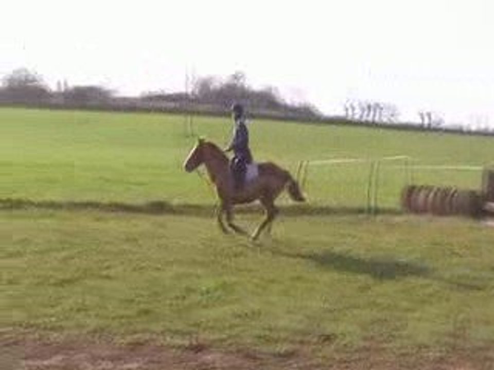 Flamme cross