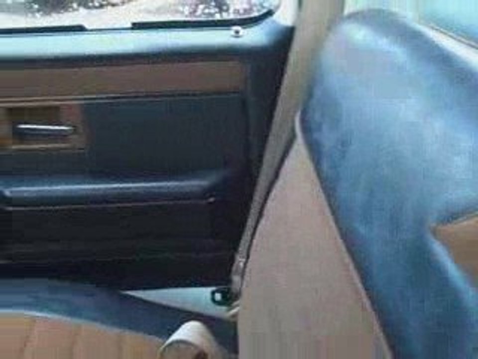 video '86 used Chevy Pickup Truck for sale Gainesville ...