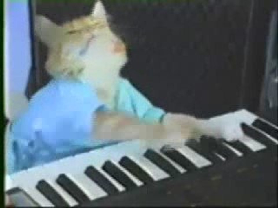 Play Him Off, Keyboard Cat