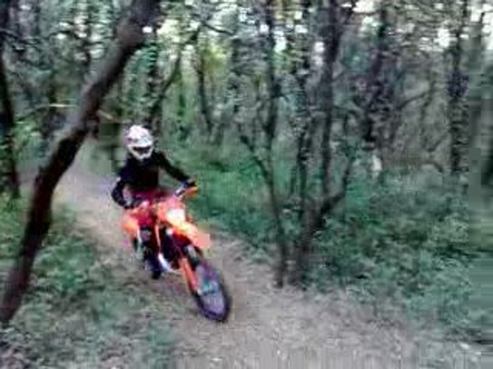 montée entre les arbres