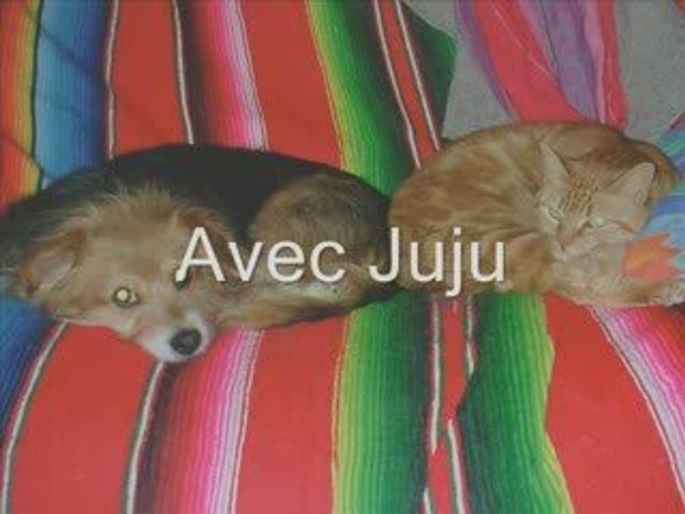 Ouititi_11 ans
