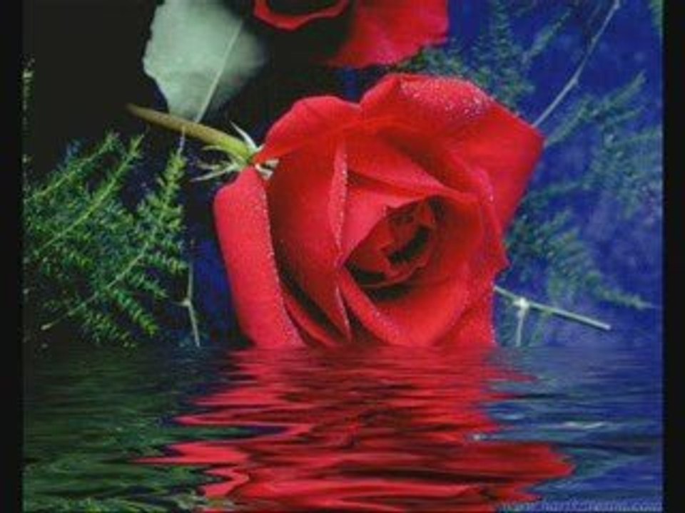 METEİN GAMAN TEKDİN VE ÖLDÜN BENDE