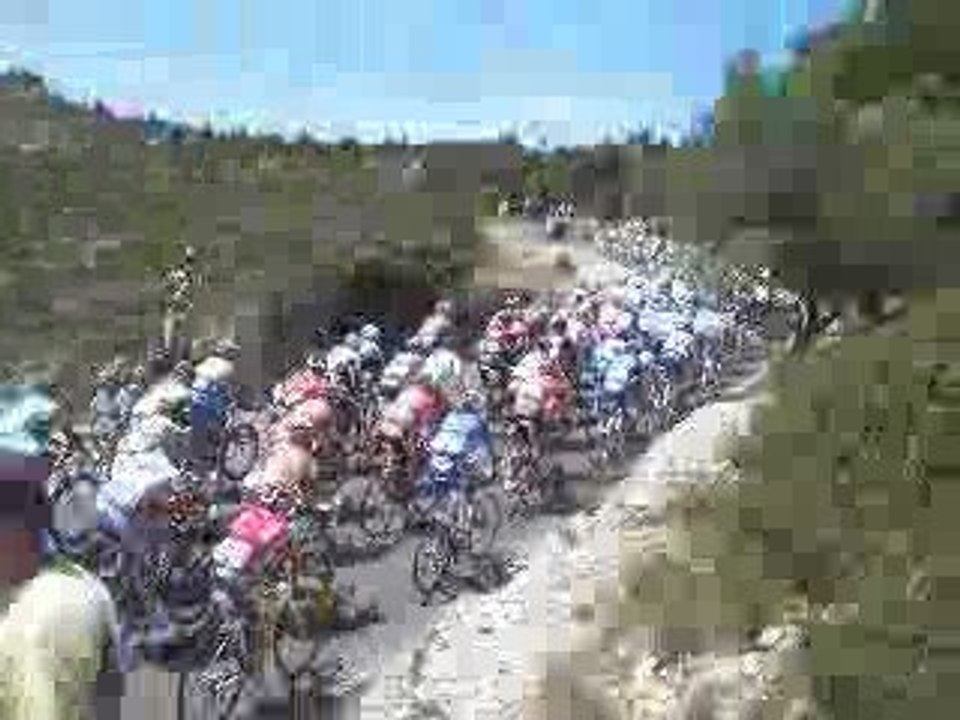 Le peloton.  The bunch.