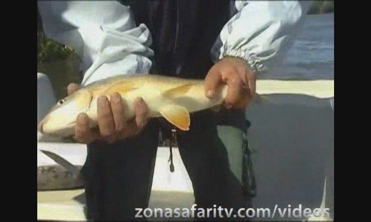 Pesca en Bella Vista con “El Pájaro” #9