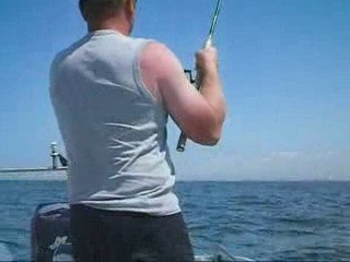 Fundys-carnassiers en mer du nord