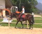 RYAN DE VIZY HONGRE DE 4 ANS A VENDRE PAR OLARGO B (KWPN)