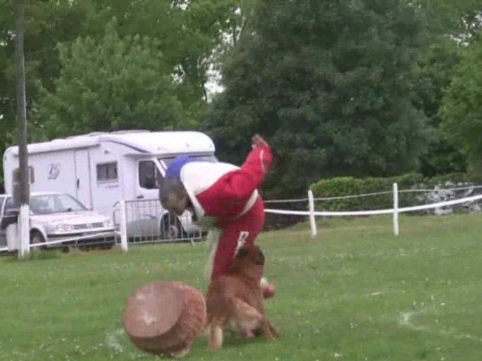 Astek du domaine de la Rochelière, 2eme sélectif Ring 2009